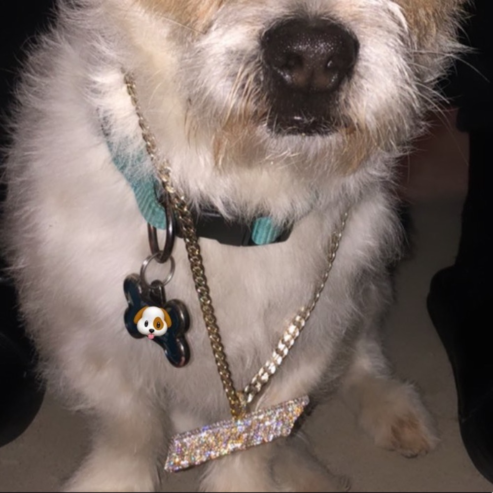 SI diamonds 10 karat gold loyalty pendant open to offers